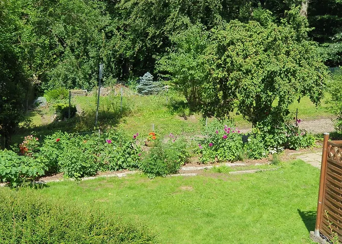 Ferienhaus in Geesthacht-Tesperhude direkt am Waldrand