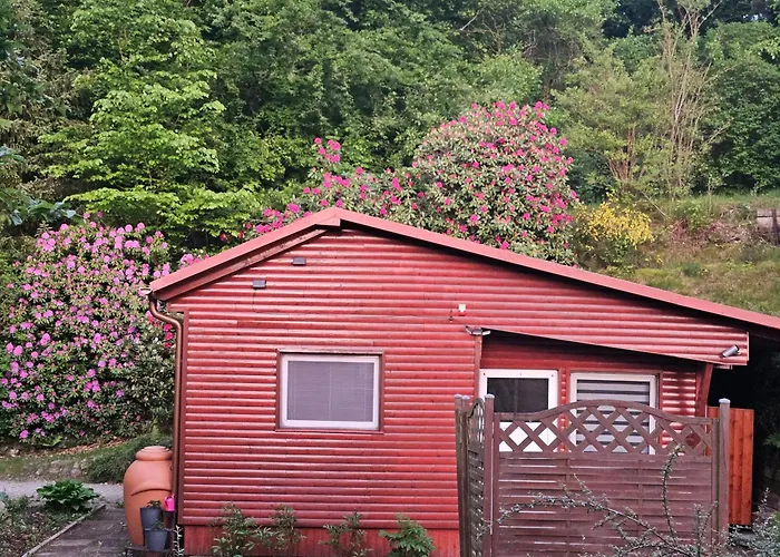 Ferienhaus in Geesthacht-Tesperhude direkt am Waldrand